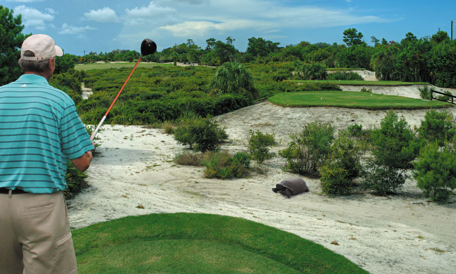 Ron Garl and Gopher Tortoise at Indian River Club