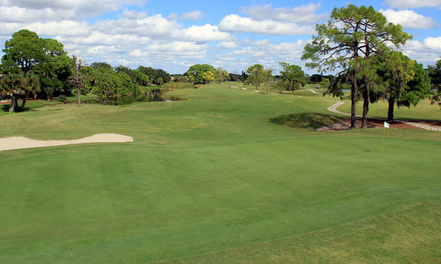 15th Hole of Palms