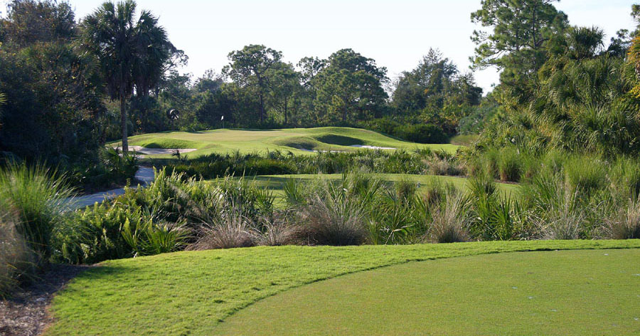12th Hole at Collier's Reserve Country Club