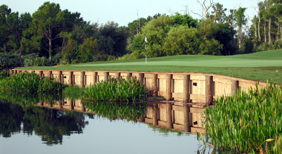 14th Hole at Collier's Reserve