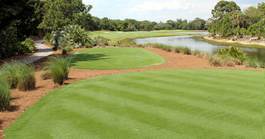 6th Hole at Collier's Reserve Country Club