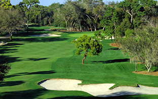 Innisbrook, Copperhead - Palm Harbor / Pinellas County