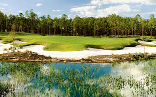 Old Corkscrew - Estero / Lee County